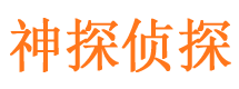 万柏林侦探公司